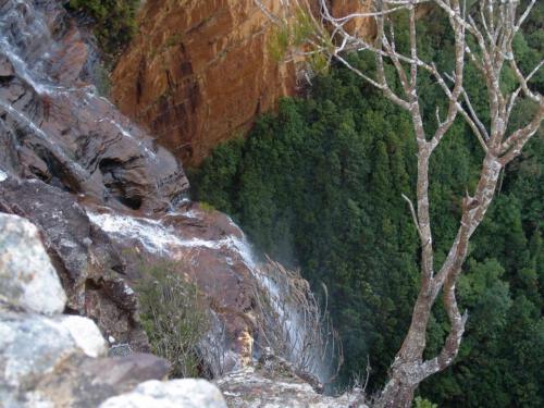 c-UWens Australia Day 12