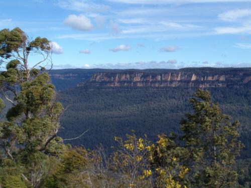 c-UWens Australia Day 13