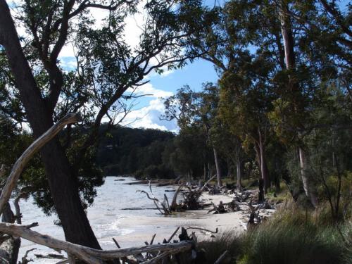 c-UWens Australia Day 18