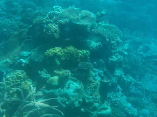 c-UWens Australia Day 41