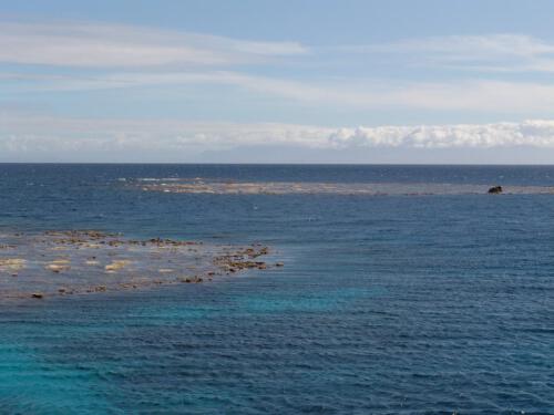 c-UWens Australia Day 42