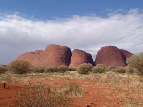 c-UWens Australia Day 50