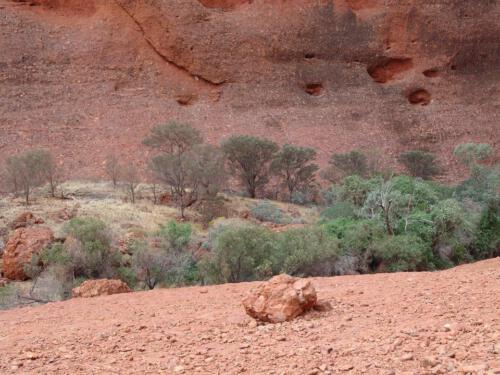 c-UWens Australia Day 51