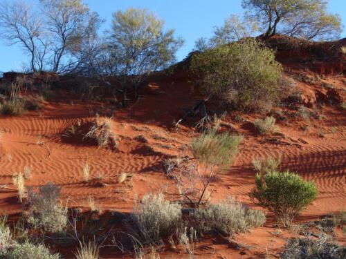 c-UWens Australia Day 57