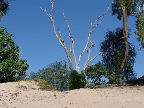 c-UWens Australia Day 71