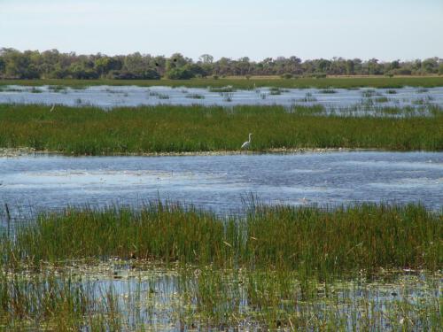 c-UWens Australia Day 73