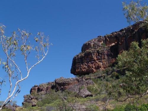 c-UWens Australia Day 75