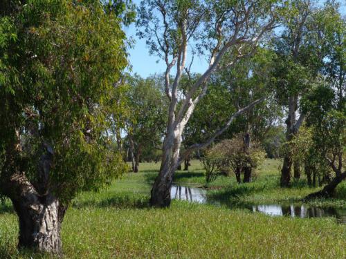 c-UWens Australia Day 77