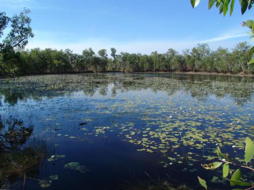 c-UWens Australia Day 78