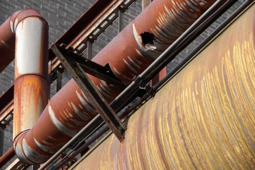 c-UWens Beauty of Aging 01