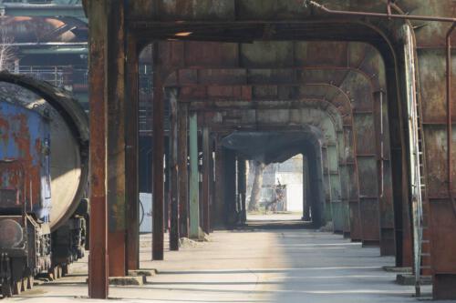 c-UWens Beauty of Aging 02