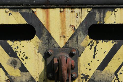 c-UWens Beauty of Aging 02a