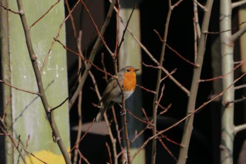 c-UWens Beauty of Aging 06