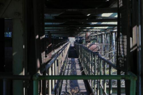 c-UWens Beauty of Aging 07