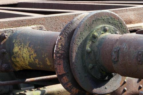 c-UWens Beauty of Aging 08