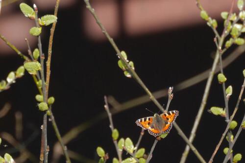 c-UWens Beauty of Aging 09