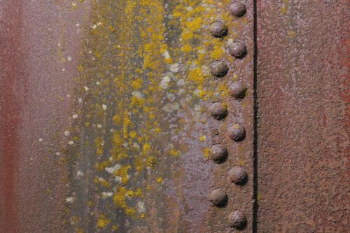 c-UWens Beauty of Aging 19