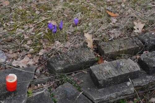 c-UWens Bergen-Belsen 20