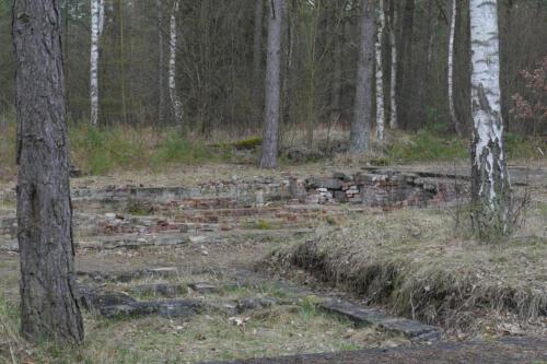 c-UWens Bergen-Belsen 21