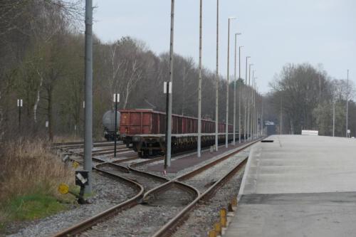 c-UWens Bergen-Belsen 30