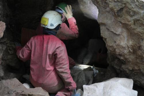 c-UWens BlA¤tterhoehle 15