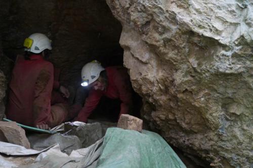 c-UWens BlA¤tterhoehle 18