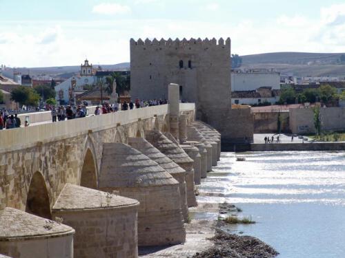 c-UWens 18Cordoba 01