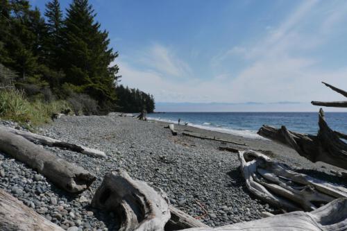 c-UWens Vancouver-Island 08