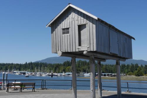 c-UWens Vancouver 12