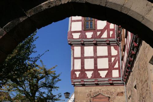 c-UWens Dom und Kaiserstadt 024