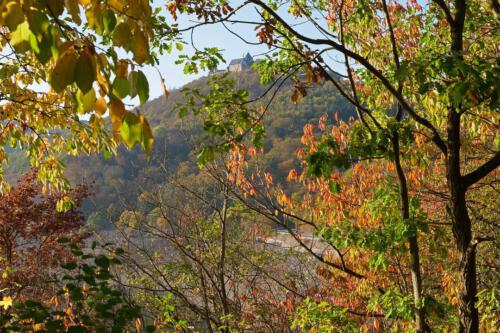 c-UWens Dom und Kaiserstadt 035