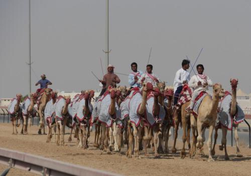 c-UWens Dubai u Co 08b