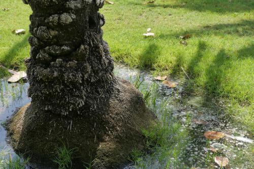 c-UWens Dubai u Co 14