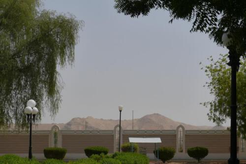 c-UWens Dubai u Co 15