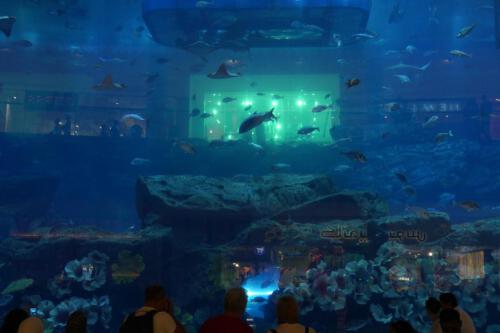 c-UWens Dubai u Co 54a