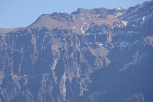 c-UWens El Condor Pasa 0001