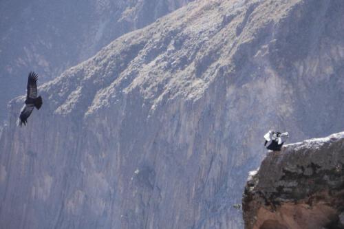 c-UWens El Condor Pasa 0009