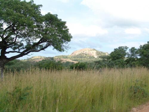 c-UWens Freedom-Day 0001