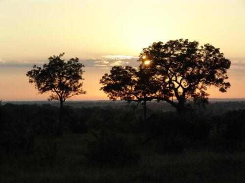 c-UWens Freedom-Day 0002