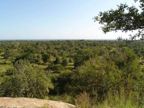 c-UWens Freedom-Day 0004