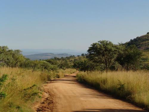 c-UWens Freedom-Day 0005