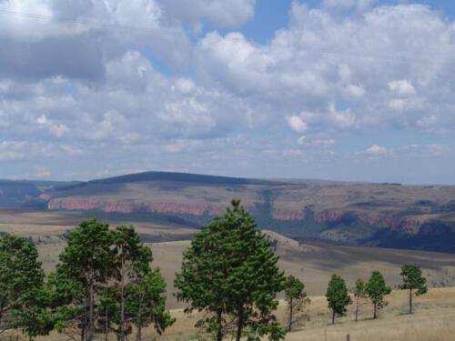 c-UWens Freedom-Day 0007