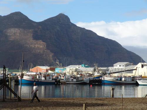 c-UWens Freedom-Day 0011