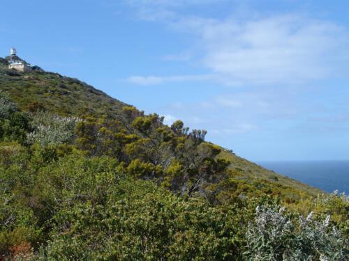 c-UWens Freedom-Day 0014