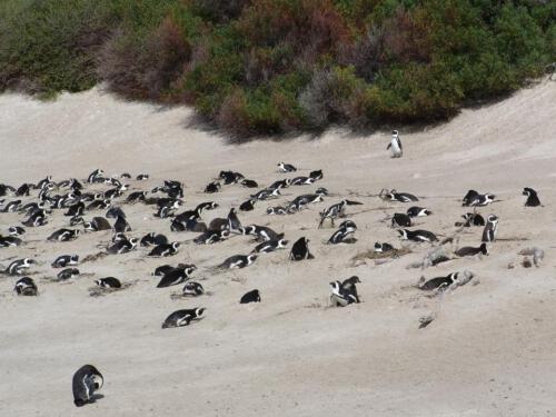 c-UWens Freedom-Day 0015