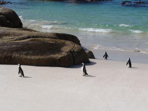 c-UWens Freedom-Day 0016