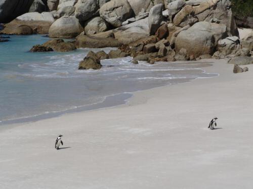 c-UWens Freedom-Day 0018