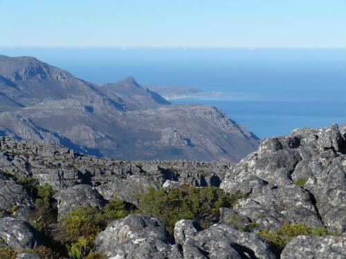 c-UWens Freedom-Day 0026