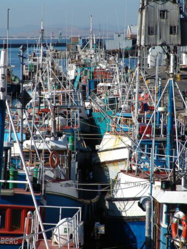 c-UWens Freedom-Day 0033