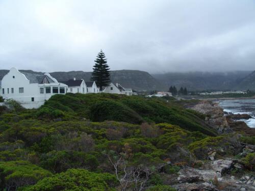 c-UWens Freedom-Day 0036